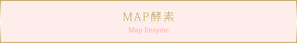 MAP酵素